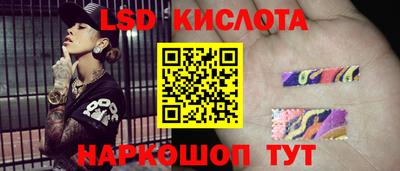 прущие грибы Владикавказ