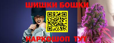 мдпв Боровичи