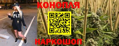 apvp Братск