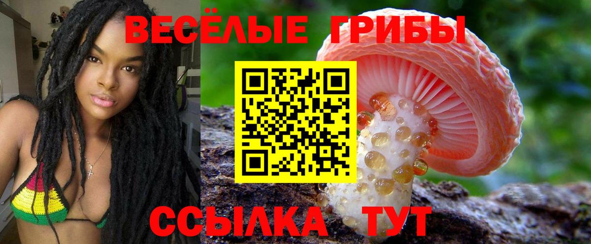 Галлюциногенные грибы GOLDEN TEACHER  Вход с VPN  купить наркоту  Галлюциногенные грибы Psilocybe  Богородск 